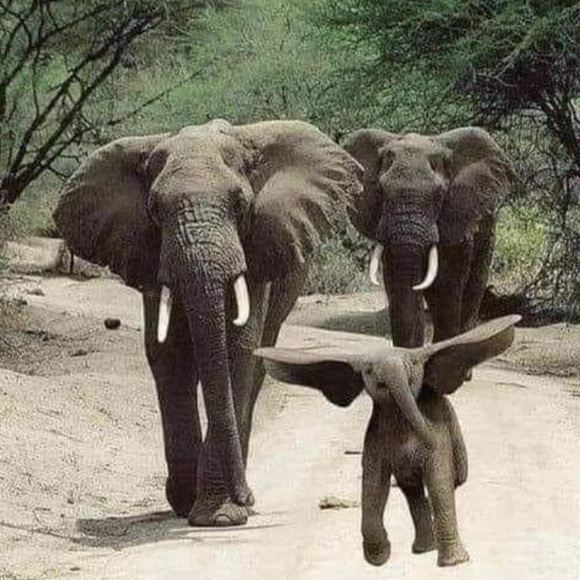 Worth sharing🌿 - Picture 8 of 12